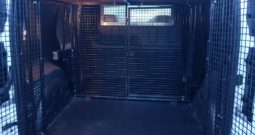 Renault Trafic Panel Van with Dog Cage