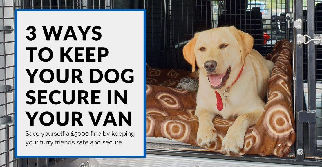 Transporting Dogs in Vans: 3 Ways to Keep Pets Safe in Transit