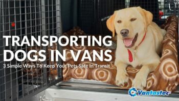Transporting Dogs In Vans: 3 Ways To Keep Pets Safe In Transit