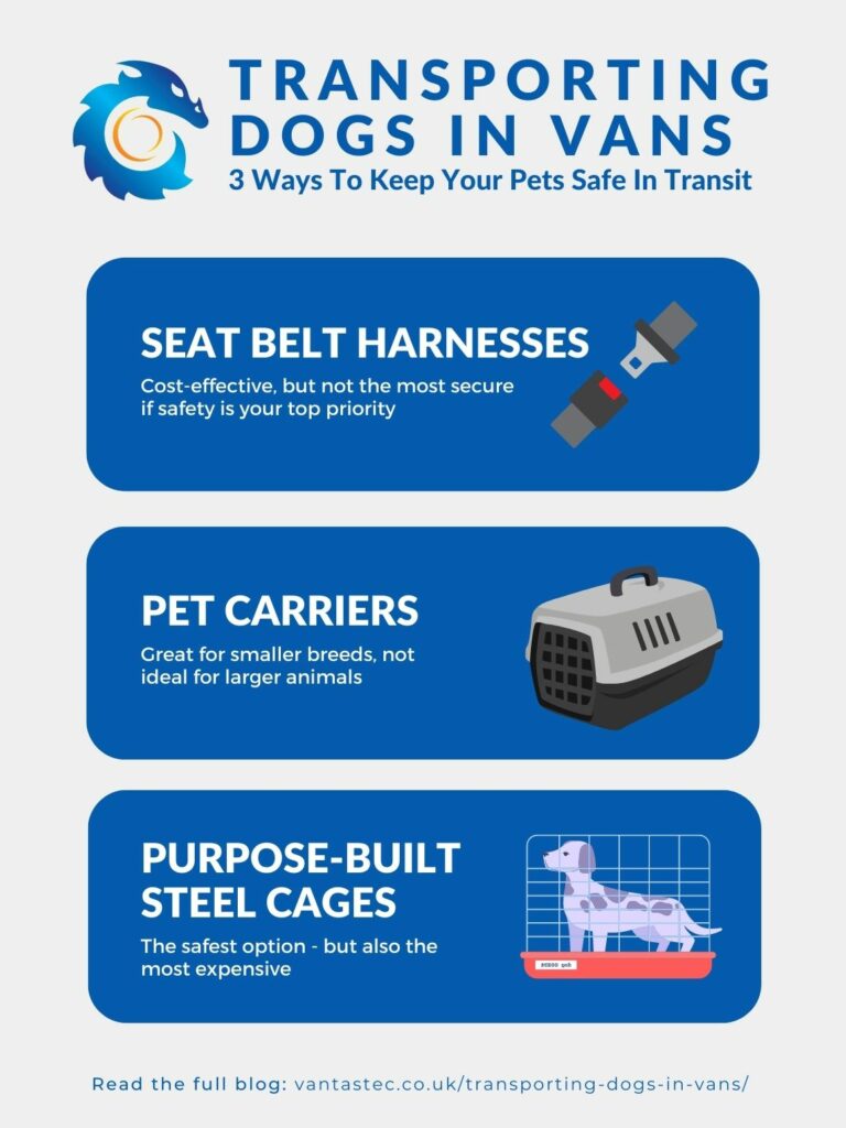 Transporting Dogs In Vans: 3 Ways To Transport Dogs In Vans