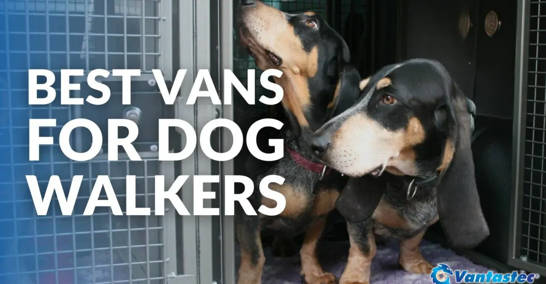 Best Vans For Dog Walkers 2023