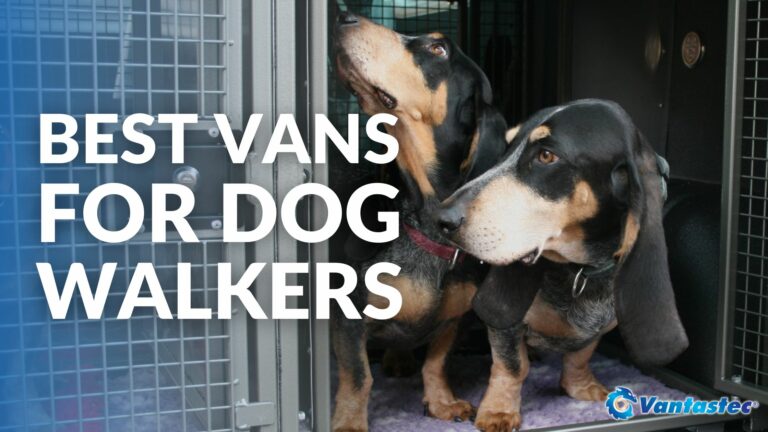 Best Vans For Dog Walkers 2023