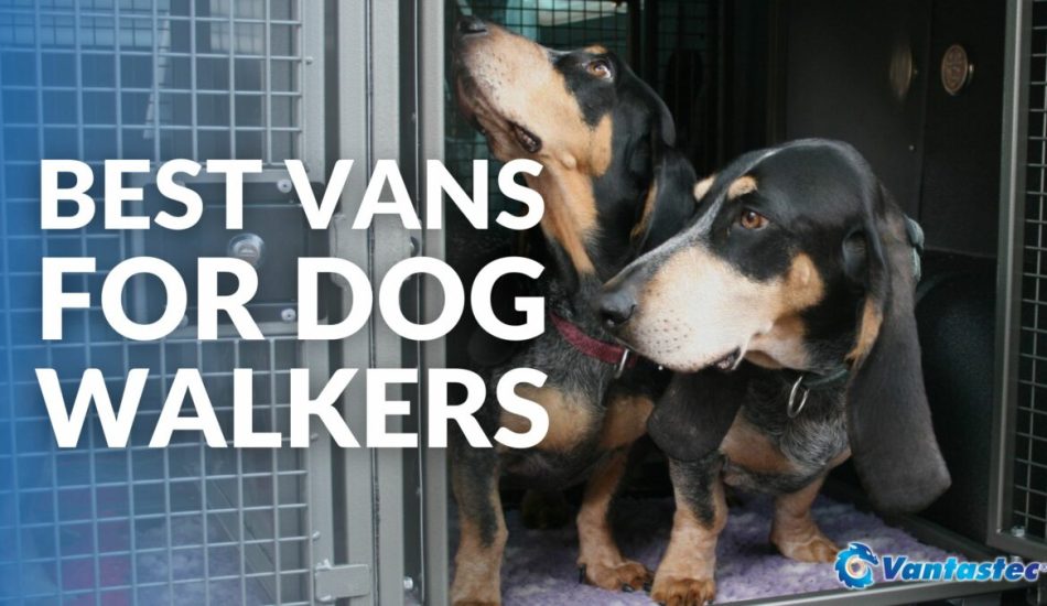 Best Vans For Dog Walkers 2023