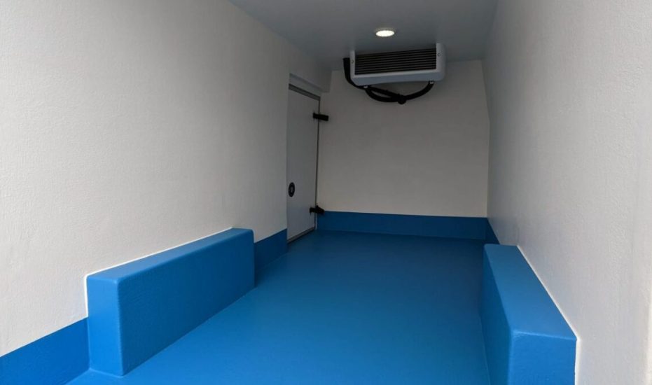 Ford Transit Freezer Van